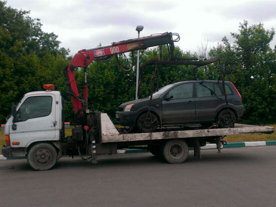 evakuatori v Петергофе